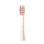 Oclean Końcówki Professional Clean P1C8 złoty 2 szt. - 1213170 - zdjęcie 3